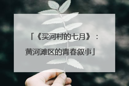 《买河村的七月》：黄河滩区的青春叙事