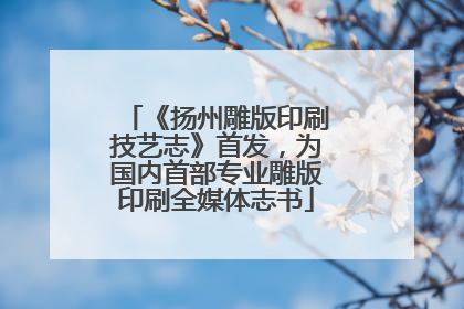 《扬州雕版印刷技艺志》首发，为国内首部专业雕版印刷全媒体志书
