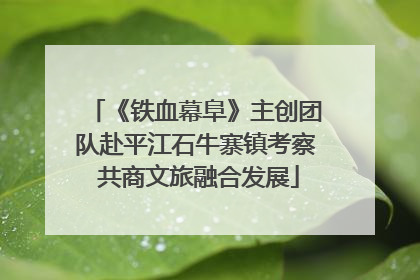 《铁血幕阜》主创团队赴平江石牛寨镇考察 共商文旅融合发展