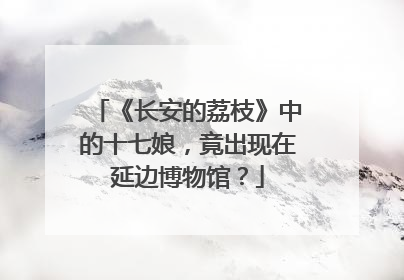 《长安的荔枝》中的十七娘，竟出现在延边博物馆？
