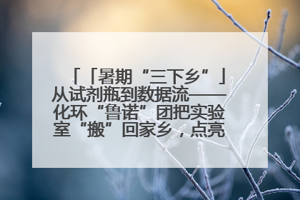 「暑期“三下乡”」从试剂瓶到数据流——化环“鲁诺”团把实验室“搬”回家乡，点亮桑梓求知路