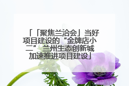 「聚焦兰洽会」当好项目建设的“金牌店小二” 兰州生态创新城加速推进项目建设