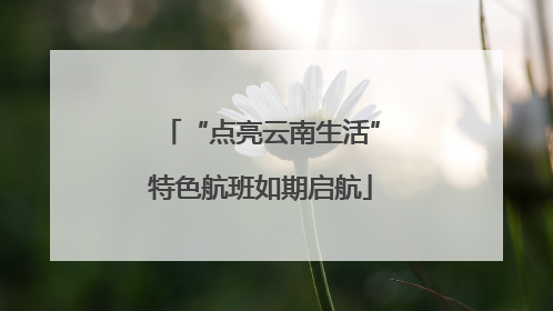 “点亮云南生活”特色航班如期启航