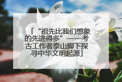 “祖先比我们想象的先进得多”——考古工作者泰山脚下探寻中华文明起源