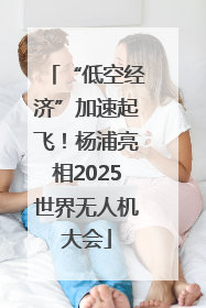 “低空经济”加速起飞！杨浦亮相2025世界无人机大会