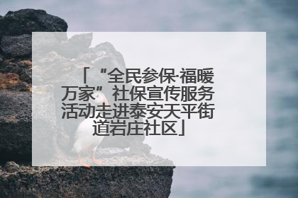 “全民参保·福暖万家”社保宣传服务活动走进泰安天平街道岩庄社区
