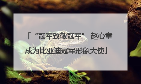 “冠军致敬冠军” 赵心童成为比亚迪冠军形象大使