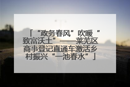 “政务春风”吹暖“致富沃土”——莱芜区商事登记直通车激活乡村振兴“一池春水”