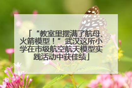“教室里摆满了航母、火箭模型！”武汉这所小学在市级航空航天模型实践活动中获佳绩