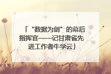 “数据为剑”的幕后指挥官——记甘肃省先进工作者牛学云