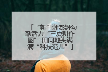 “新”潮澎湃勾勒活力“三夏耕作图” 田间地头满满“科技范儿”