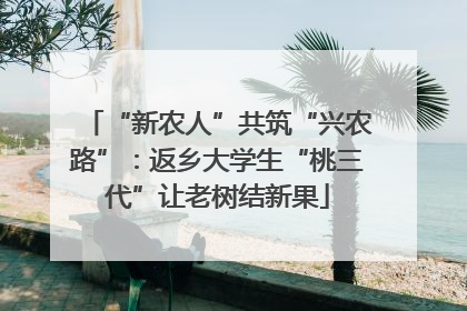 “新农人”共筑“兴农路”：返乡大学生“桃三代”让老树结新果