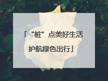 “桩”点美好生活 护航绿色出行