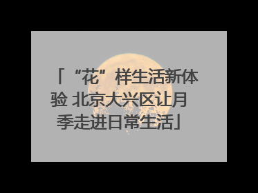 “花”样生活新体验 北京大兴区让月季走进日常生活
