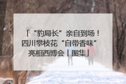“豹局长”亲自到场！四川攀枝花“自带香味”亮相西博会丨图集