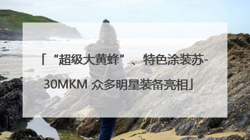 “超级大黄蜂”、特色涂装苏-30MKM 众多明星装备亮相
