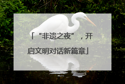 “非遗之夜”，开启文明对话新篇章
