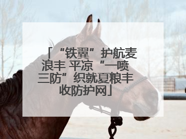 “铁翼”护航麦浪丰 平凉“一喷三防”织就夏粮丰收防护网