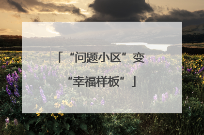 “问题小区”变“幸福样板”