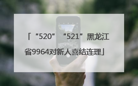 “520”“521”黑龙江省9964对新人喜结连理