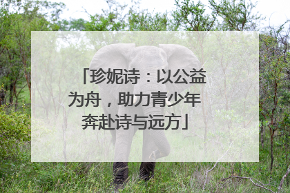 珍妮诗：以公益为舟，助力青少年奔赴诗与远方