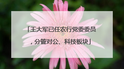 王大军已任农行党委委员，分管对公、科技板块