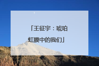 王征宇：琥珀虹膜中的我们