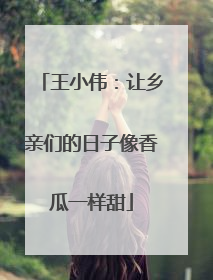 王小伟：让乡亲们的日子像香瓜一样甜