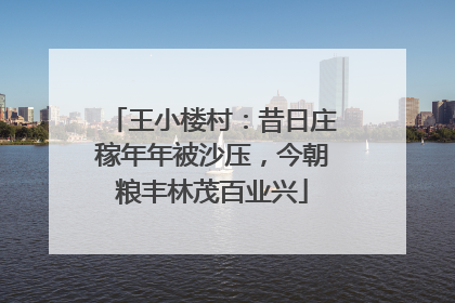 王小楼村：昔日庄稼年年被沙压，今朝粮丰林茂百业兴