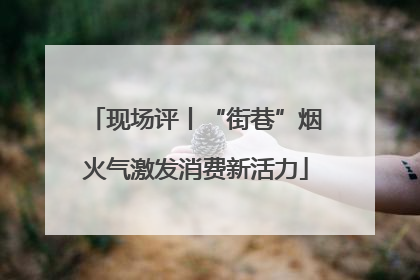 现场评丨“街巷”烟火气激发消费新活力