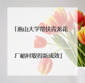 燕山大学帮扶青龙花厂峪村取得新成效