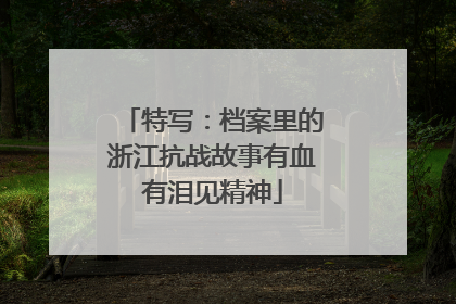 特写：档案里的浙江抗战故事有血有泪见精神
