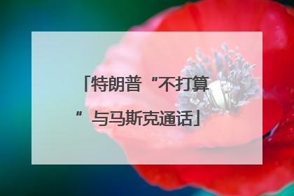 特朗普“不打算”与马斯克通话