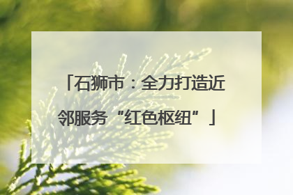 石狮市：全力打造近邻服务“红色枢纽”