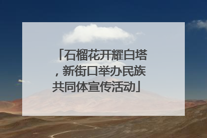 石榴花开耀白塔，新街口举办民族共同体宣传活动