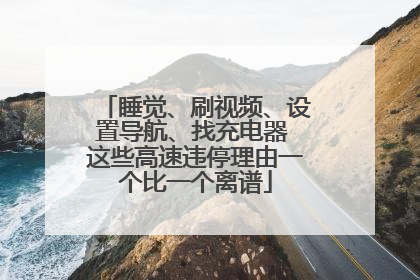 睡觉、刷视频、设置导航、找充电器 这些高速违停理由一个比一个离谱