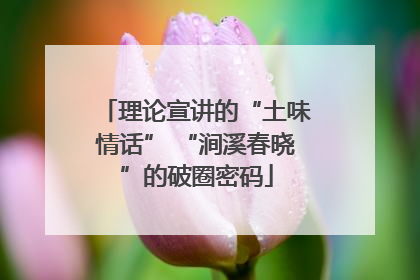 理论宣讲的“土味情话” “涧溪春晓”的破圈密码
