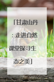 甘肃山丹：走进自然课堂探寻生态之美