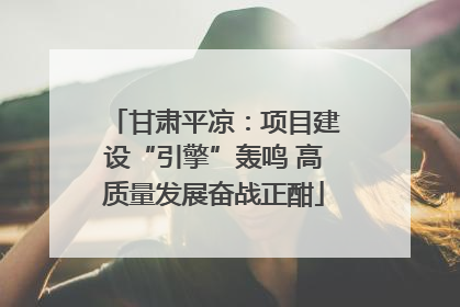 甘肃平凉：项目建设“引擎”轰鸣 高质量发展奋战正酣