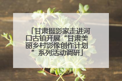 甘肃摄影家走进河口古镇开展“甘肃美丽乡村影像创作计划”系列活动调研
