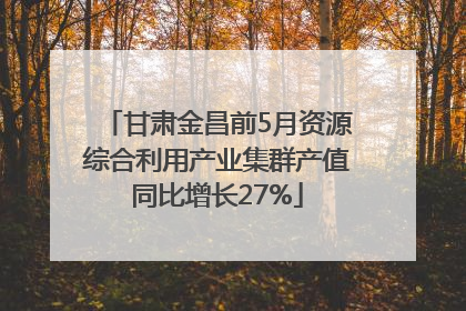 甘肃金昌前5月资源综合利用产业集群产值同比增长27%