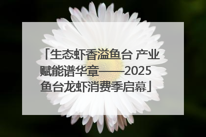 生态虾香溢鱼台 产业赋能谱华章——2025鱼台龙虾消费季启幕