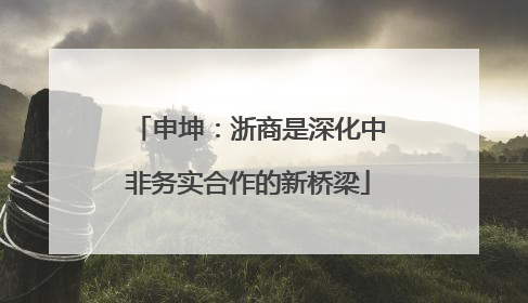 申坤：浙商是深化中非务实合作的新桥梁