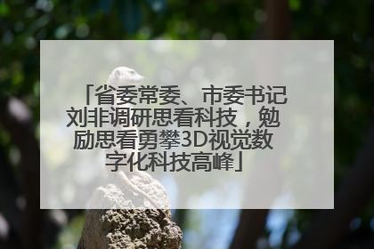 省委常委、市委书记刘非调研思看科技，勉励思看勇攀3D视觉数字化科技高峰