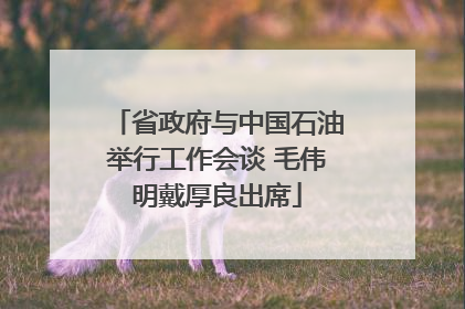 省政府与中国石油举行工作会谈 毛伟明戴厚良出席