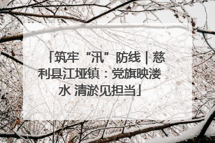 筑牢“汛”防线｜慈利县江垭镇：党旗映溇水 清淤见担当