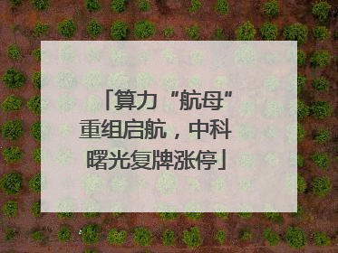算力“航母”重组启航，中科曙光复牌涨停
