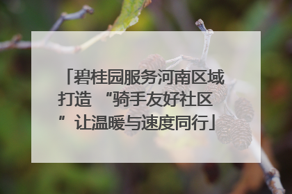 碧桂园服务河南区域打造 “骑手友好社区”让温暖与速度同行