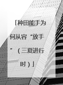 种田能手为何从容“放手”（三夏进行时）
