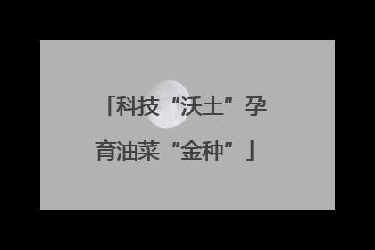 科技“沃土”孕育油菜“金种”